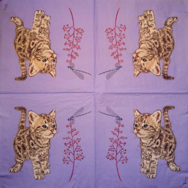 KAT-381 Katzen - 3-lagig - ppd - Charlotte Galloux